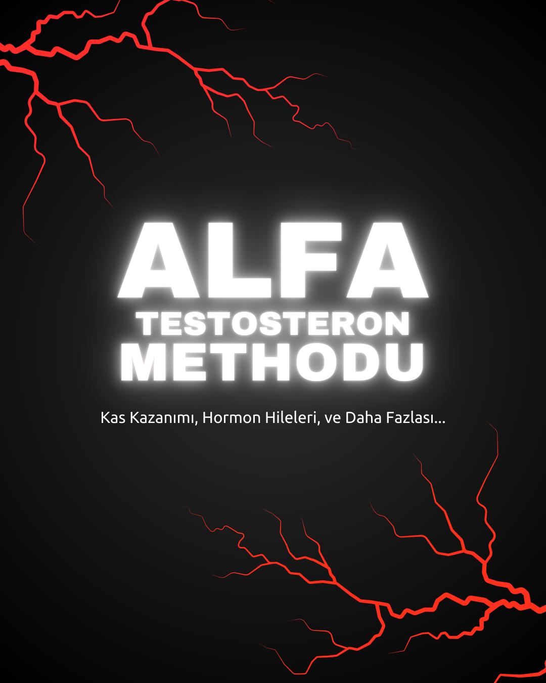 Alfa Testosteron Methodu
